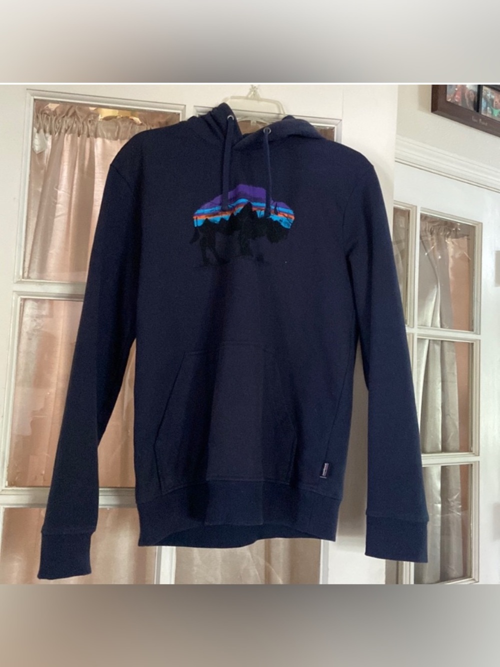 Patagonia Hoodie